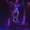 Aerial Duo 111038
