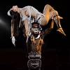Aerial Duo 111181
