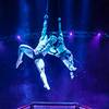 Aerial Duo 2151