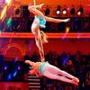 Aerial Duo 7615