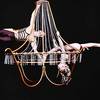 Aerial Duo 9674
