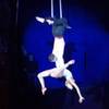 Aerial Duo and Equilibr 1747