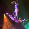 Trapeze Adagio 973