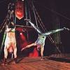 Aerial Acrobatic Group 106545