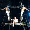 Aerial Group 106553