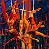 Aerial Group 7595