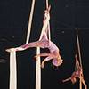 Aerial Group 9532