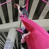 Aerial Silk, Aerial Lyra, Trapeze & Fire-Eating Acts