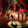 Jungle Circus