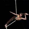 Aerial And Hand Balance Solo 8079