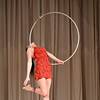 Aerial Gymnast 108610