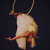 Aerial Ring Solo 105076