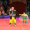 Clowns Duo 601