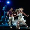 Dance Show 107545