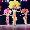 Show Ballet 110264