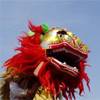 Lion Dance