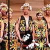 Traditional cultural folk dancers Indonesia 7300