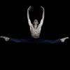 Dancer 108509