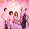 Classical Band 8625