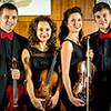 String Quartet 107206
