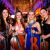 String Quartet 107537