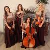 String Quartet 108355