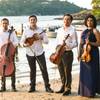 String Quartet 110705