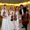 String Quartet Violin Viola Cello 1271