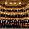 Symphony Orchestra 105578