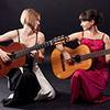 Guitar Duo 8263