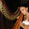 Female Harpist 7118