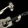 Singer Guitarist 109019
