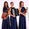 Classical Trio 7363