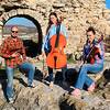 Classical Trio 8644