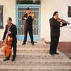 Male Trio Cello Violins 5229