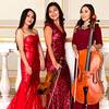 Piano Trio 111046