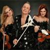 Trio Electronic Violins 5228