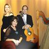 Instrumental Trio 5029