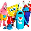 Animation Program 9571