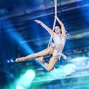 Ice Aerial Solo 7524