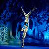 Ice Show 7467