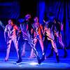 Ice Show 8796