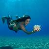 Mermaid Show 108040