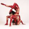 Adagio & Aerial Duo 1101
