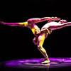 Duo Adagio Aerial 9586