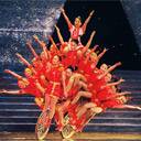 Circus Group R Angel