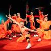 Shaolin Kungfu Show 1973