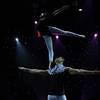 Ballet On The Shoulder 108630