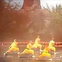 China Circus Group 8564