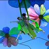 Chinese Family Acrobatic Show 4362